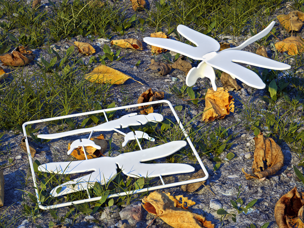 Dragonfly Gift Card Toy
