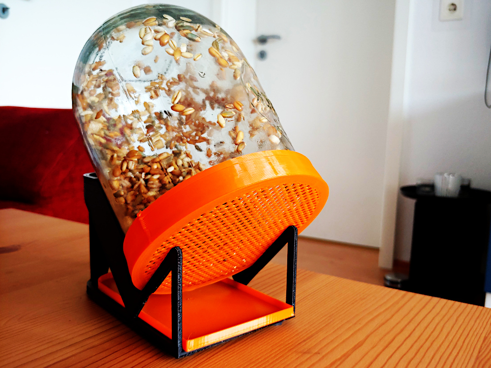 Sprouting Jar // Sprossenglas