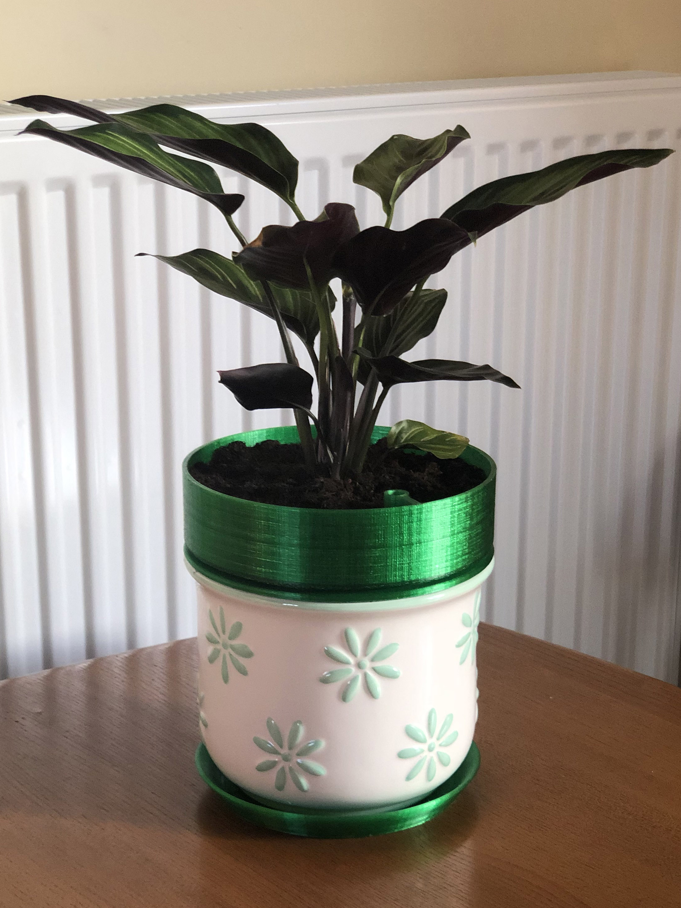 Drought-Alert Planter Insert