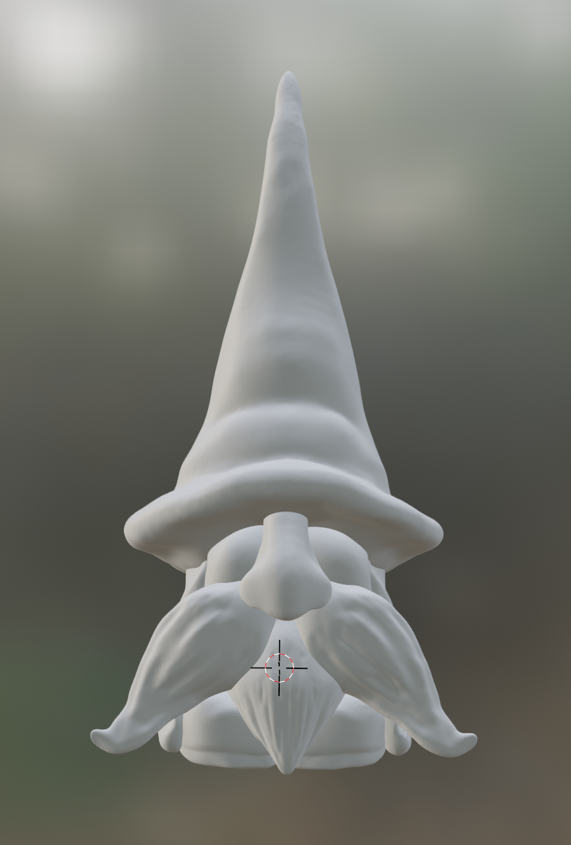 Wizard gnome