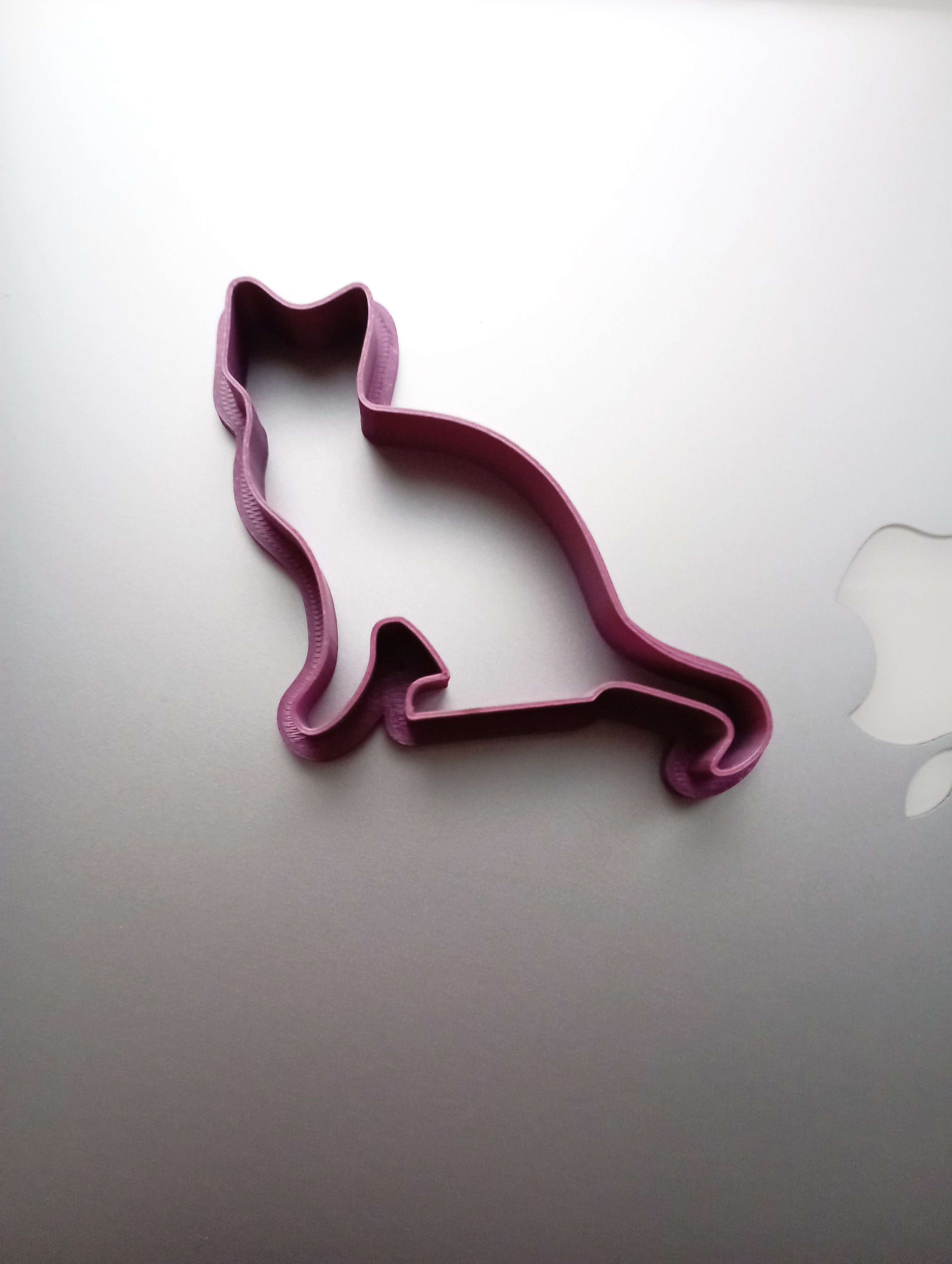 Cat cookie cutter
