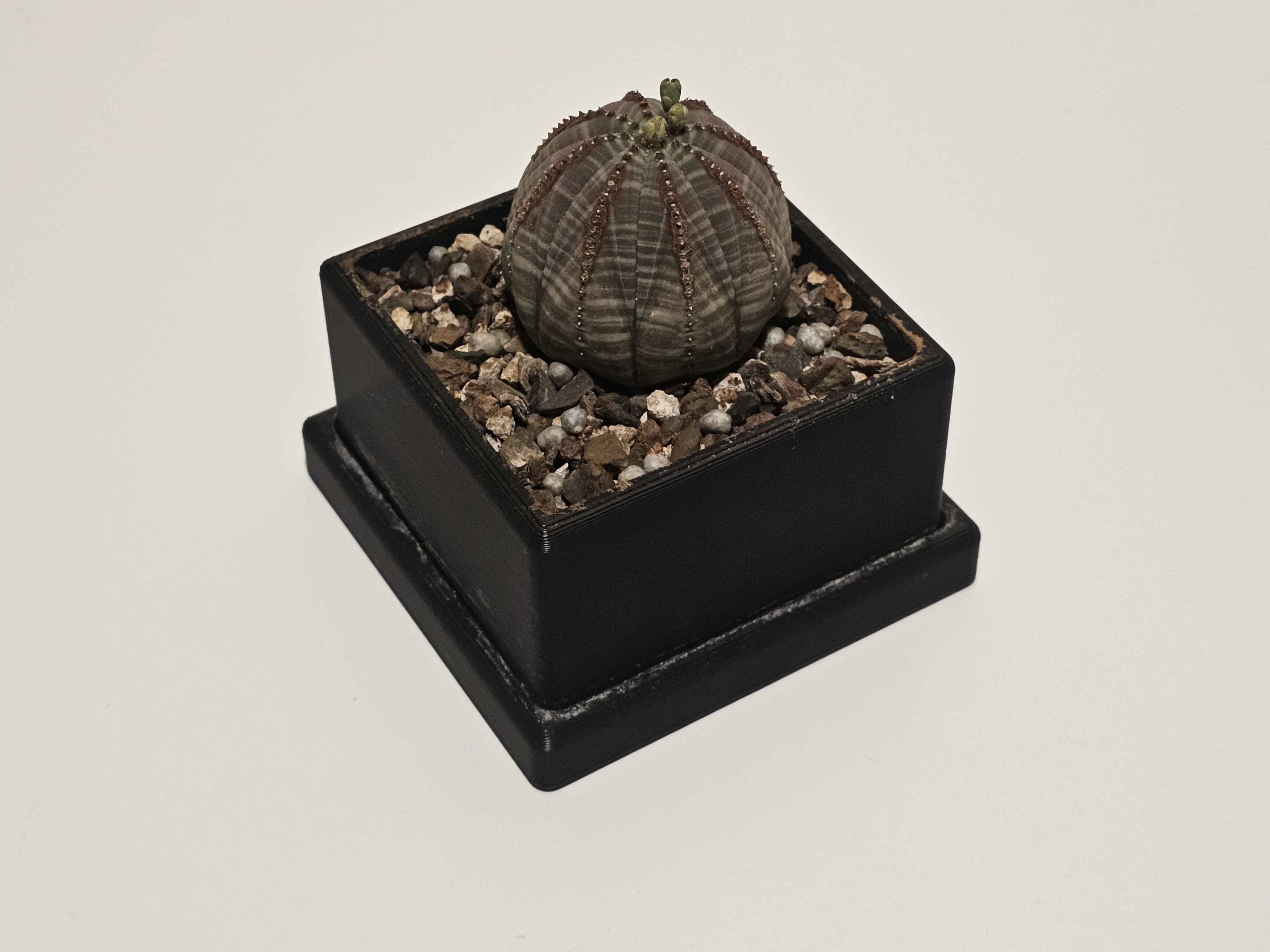 Square planter with drainage and tray