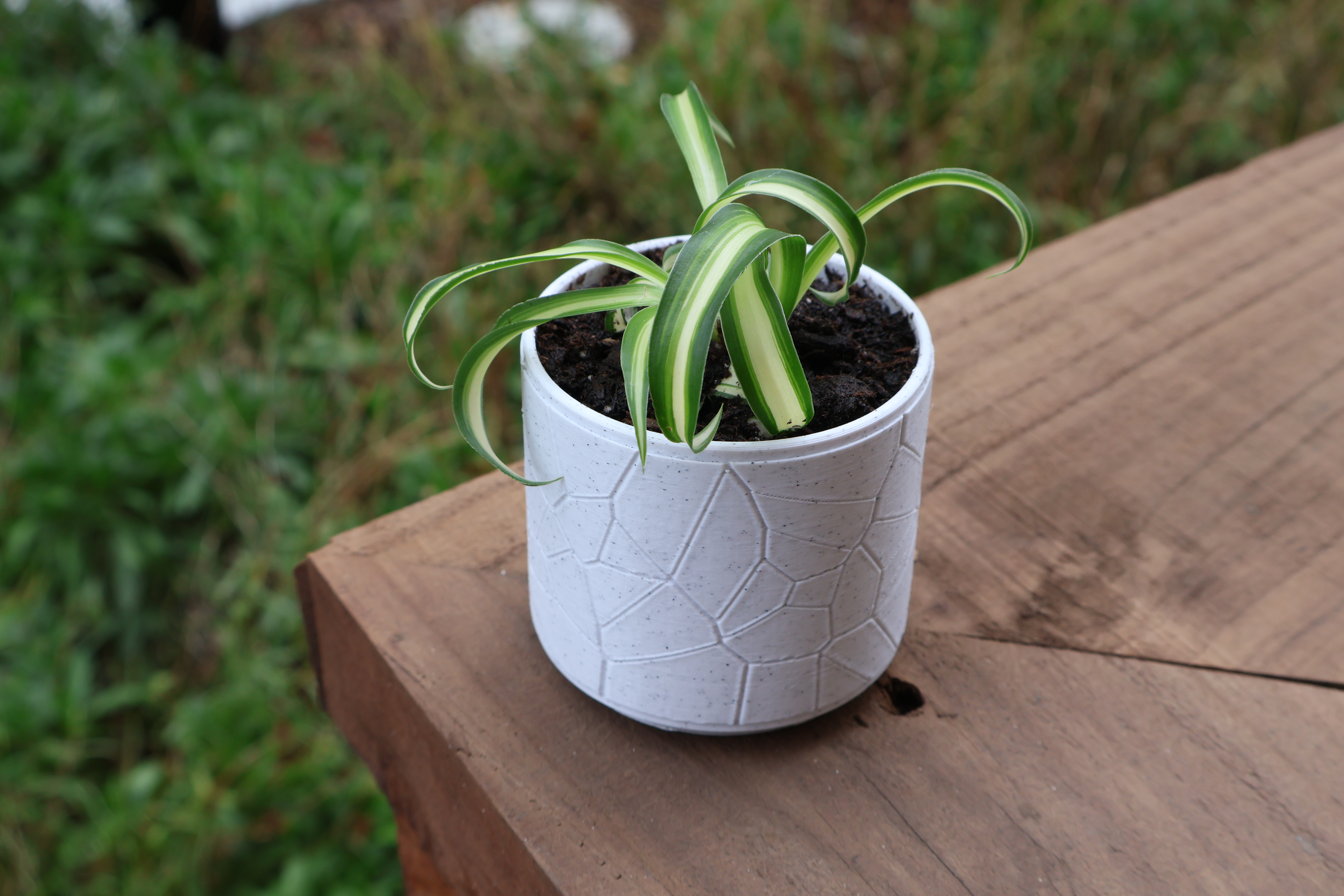 Vase #4 with drainage holes