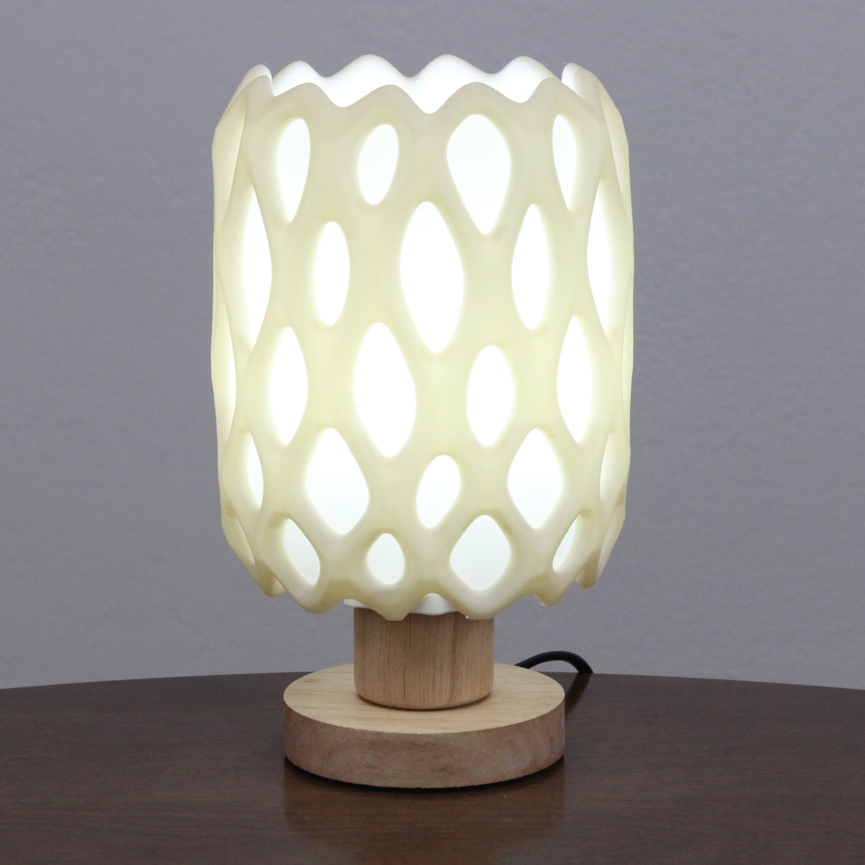 Cholla Cactus Lamp
