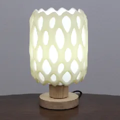 Cholla Cactus Lamp
