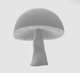 Mushroom Jar / Canister by Wim V, Download free STL model