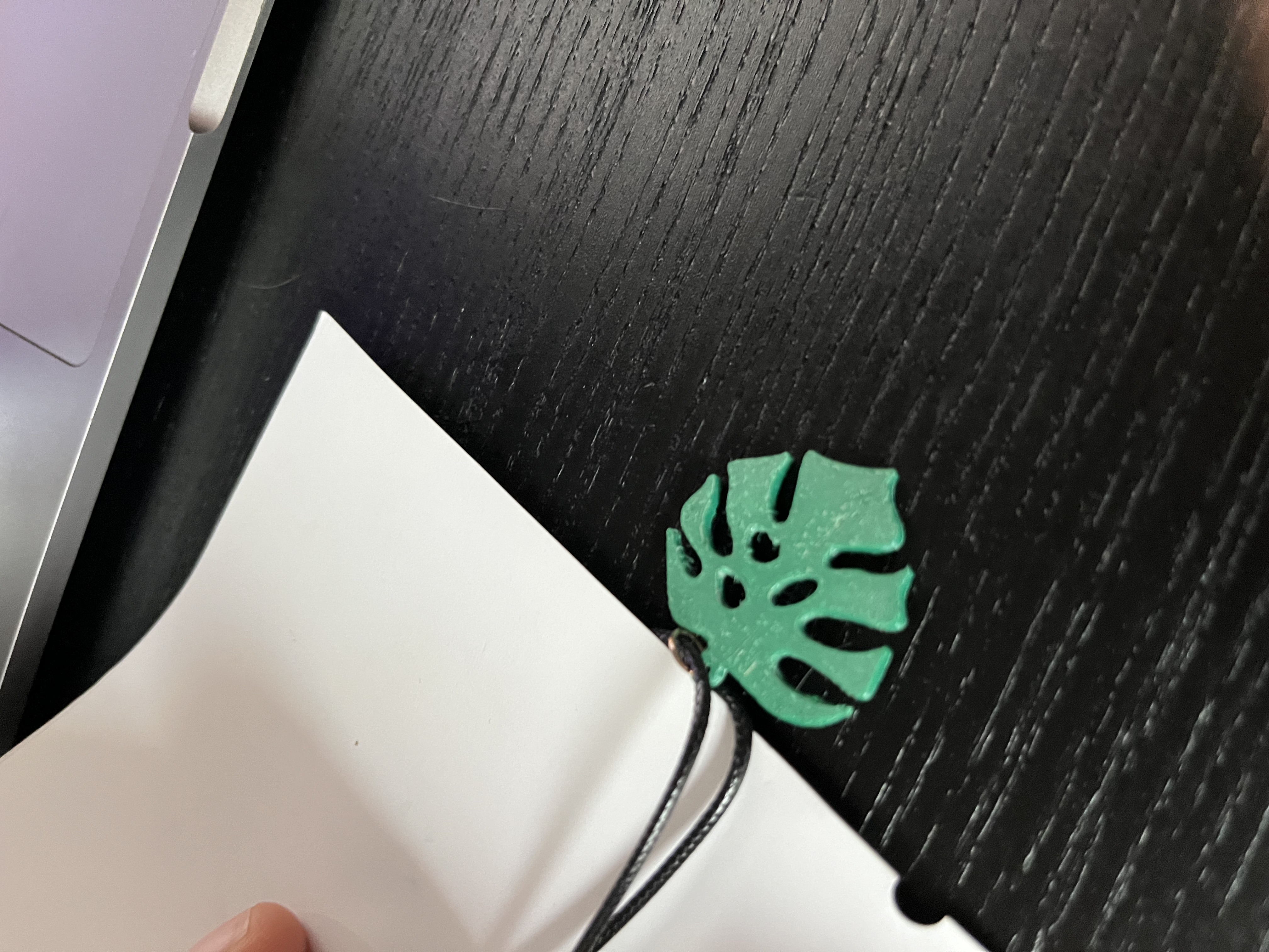 monstera earings/neckless