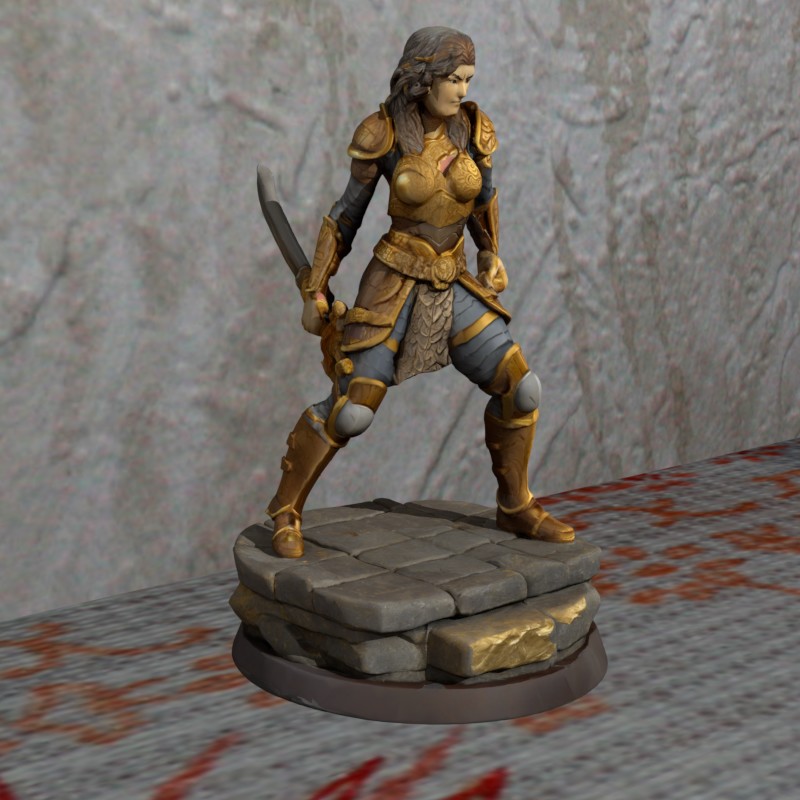DND Style Modern Female Warrier with sword FDM Nosupport FDMready easytoprint