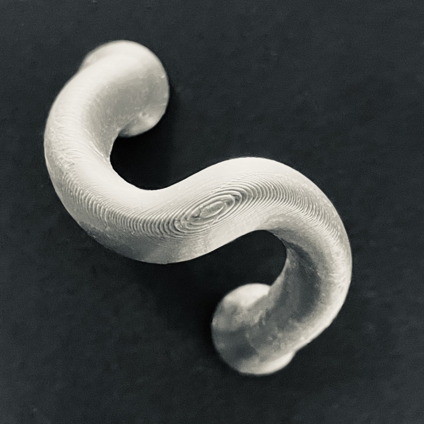 Magnetic Loop