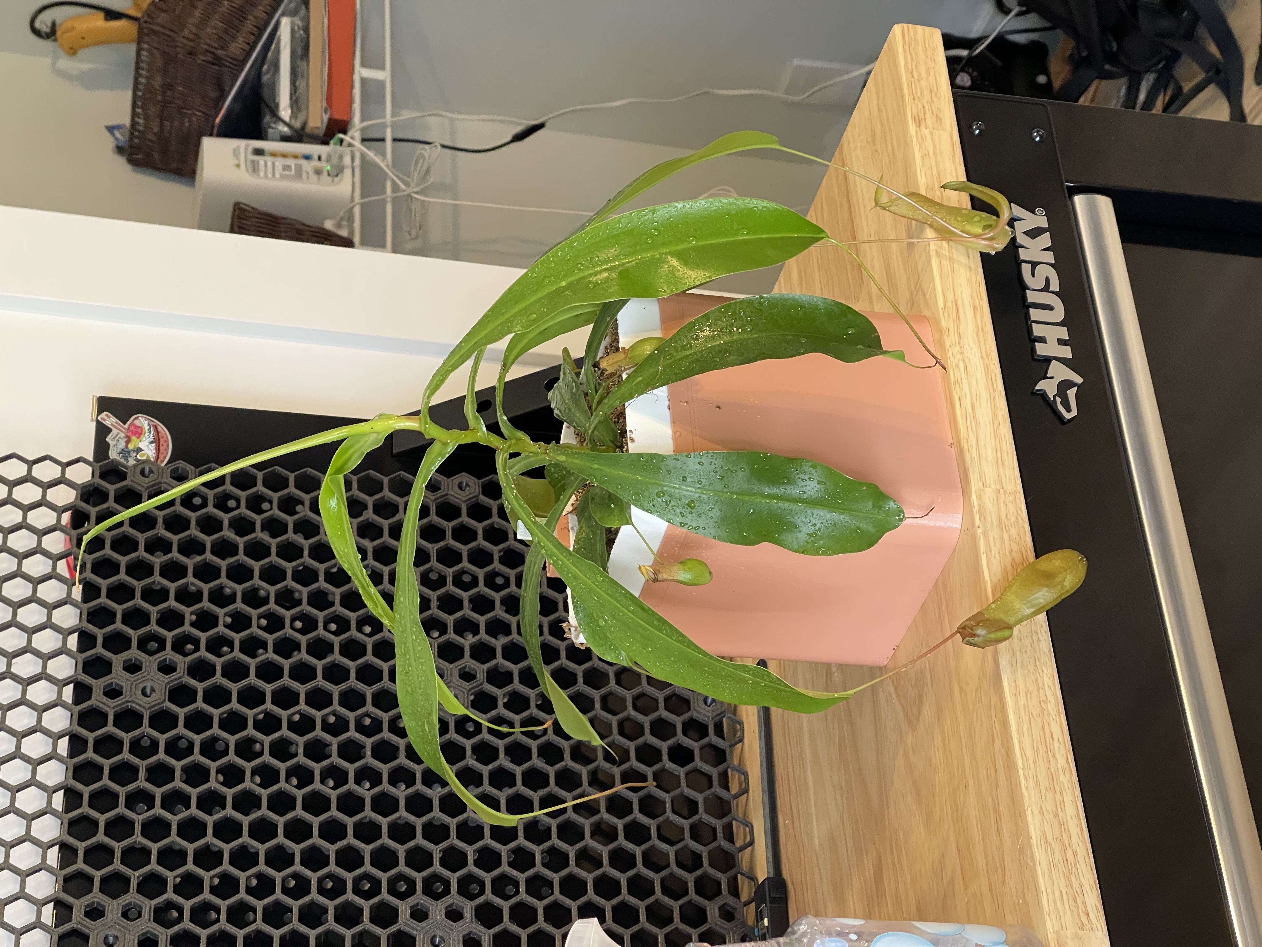 Square Medium-Large Self Watering Pot/Planter