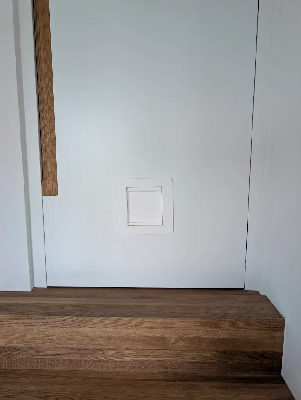 Cat Flap for Interior Doors 38–42 mm – Telescopic Frame, Ball-Bearing Hinge, Magnetic Latch