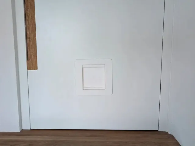 Cat Flap for Interior Doors 38–42 mm – Telescopic Frame, Ball-Bearing Hinge, Magnetic Latch
