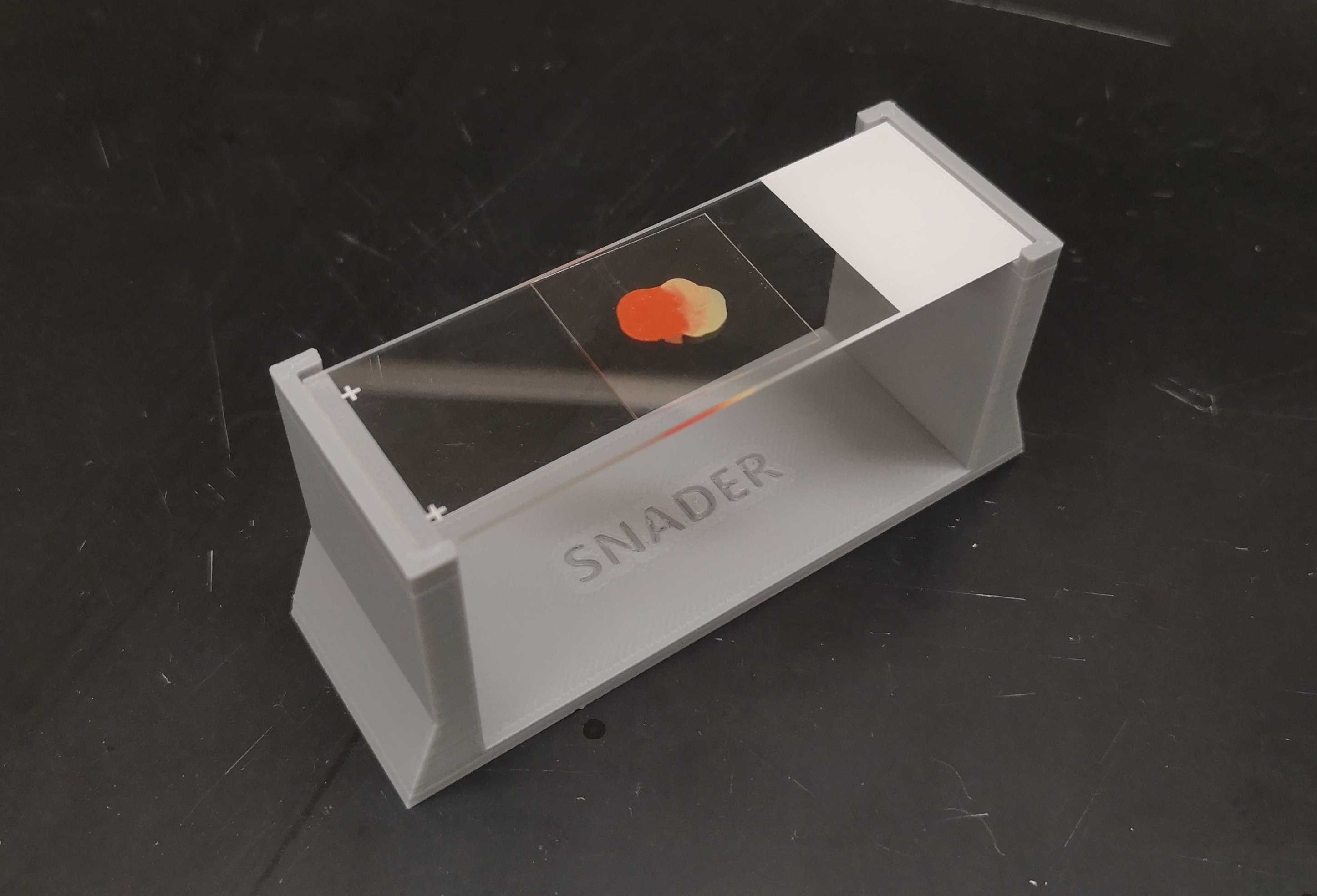 Microscopy slide holder