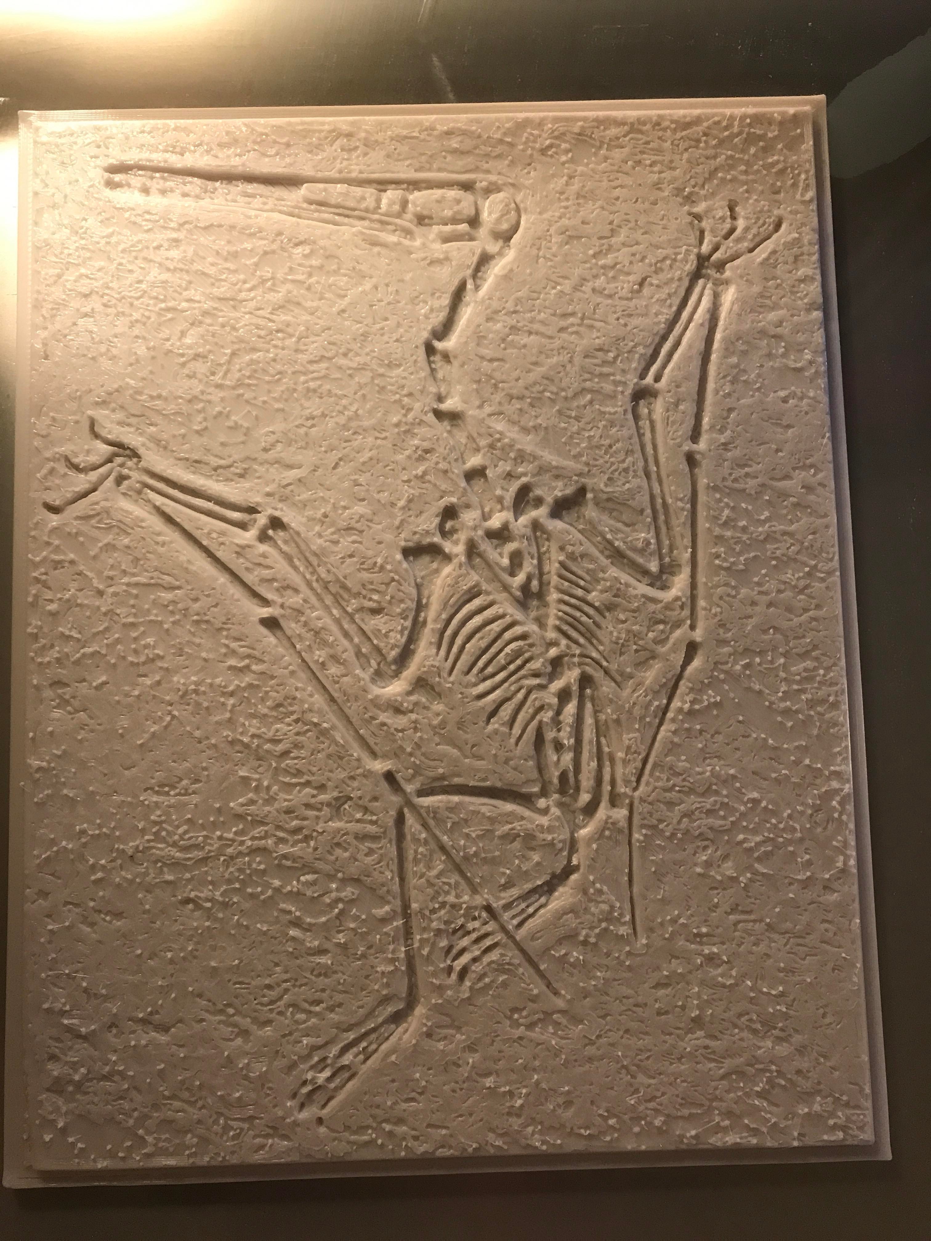 dino fossil Relief litho