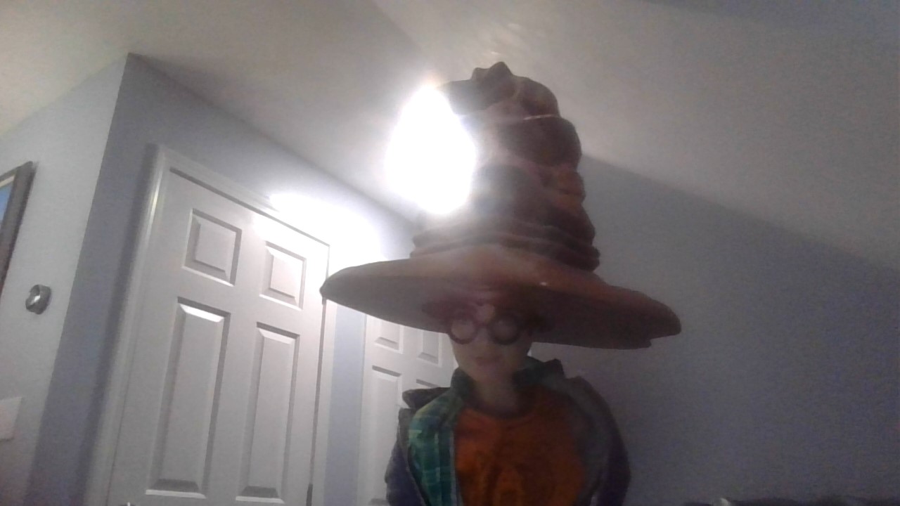 Barbie harry potter sorting hat