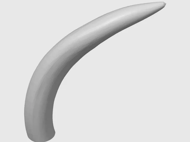 Elephant Tusk