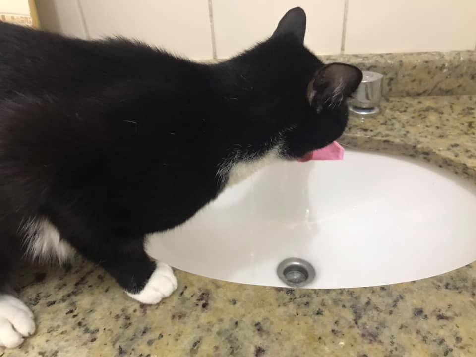 Faucet Extender by Marcelo Silva Download free STL model