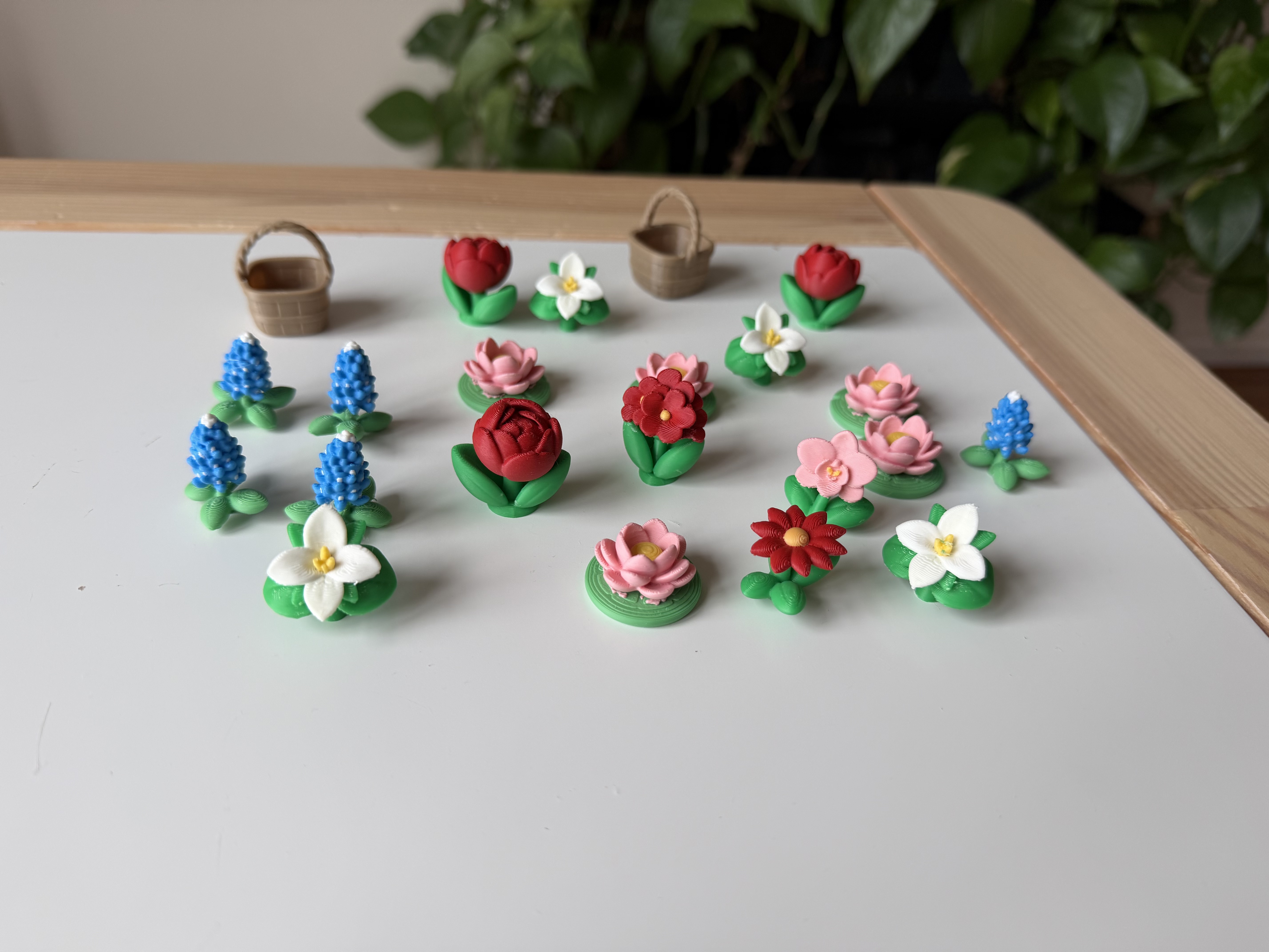 Bluebonnet — miniatura 3