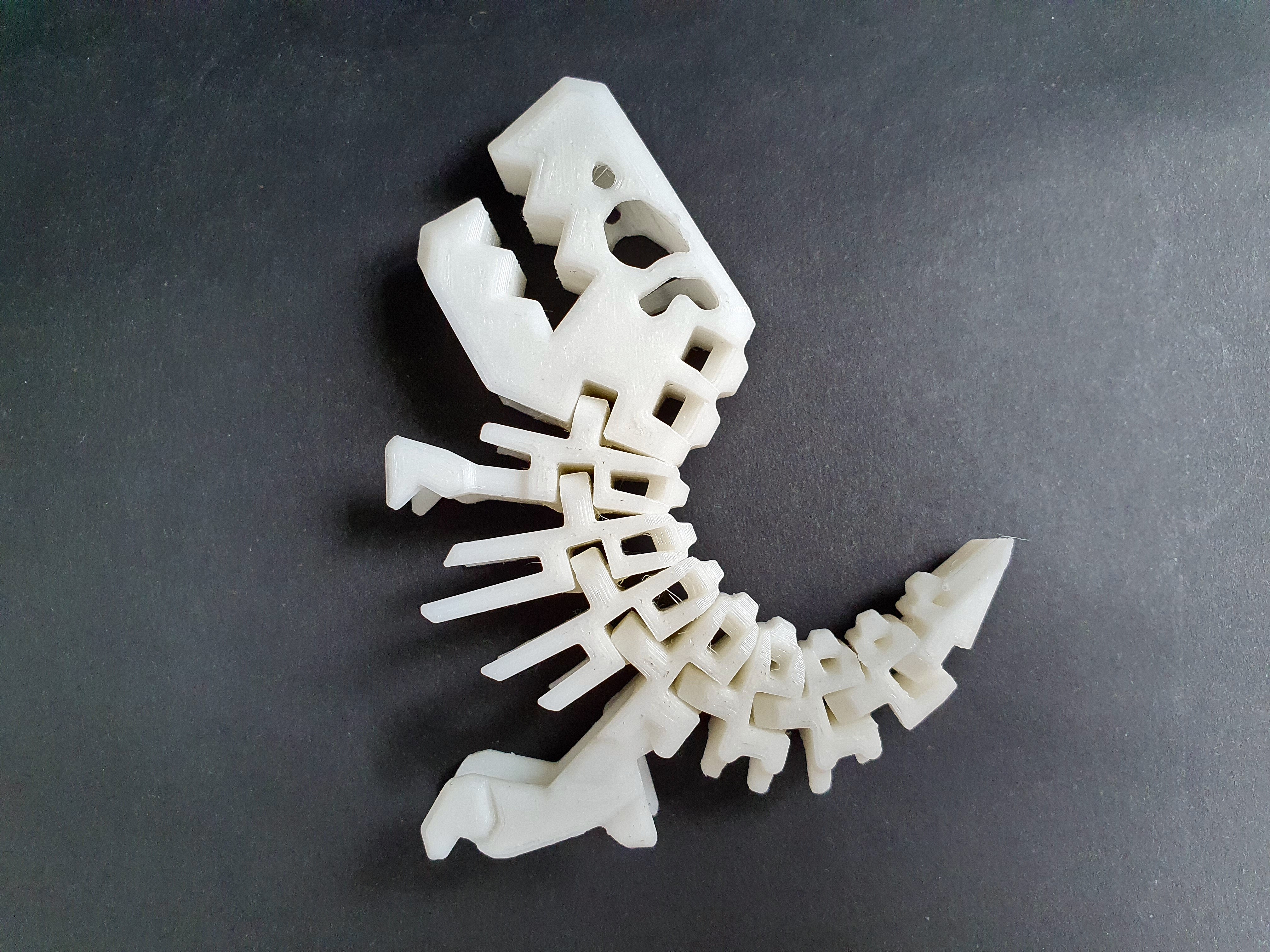 Miniatura 3 do modelo 3D Flexi Rex Skeleton