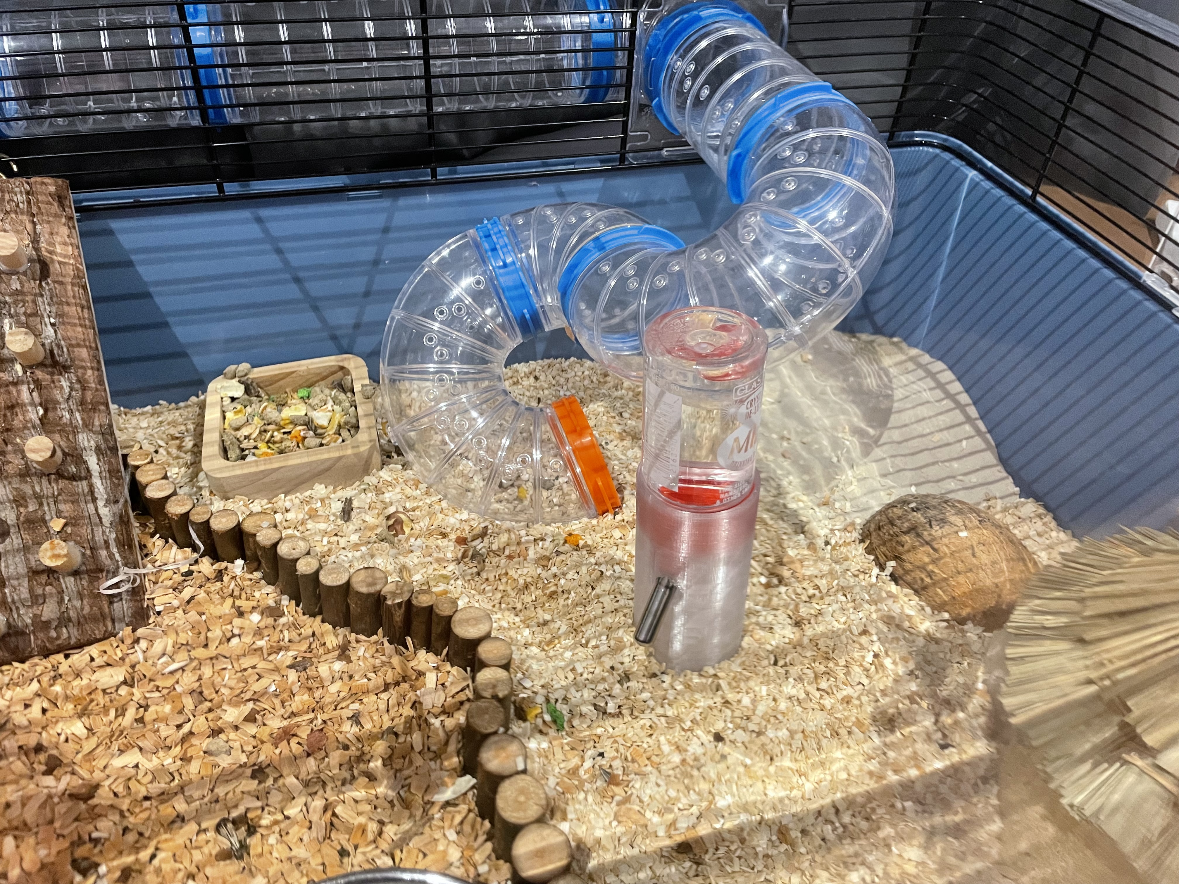 Bottle stand for Hamsters