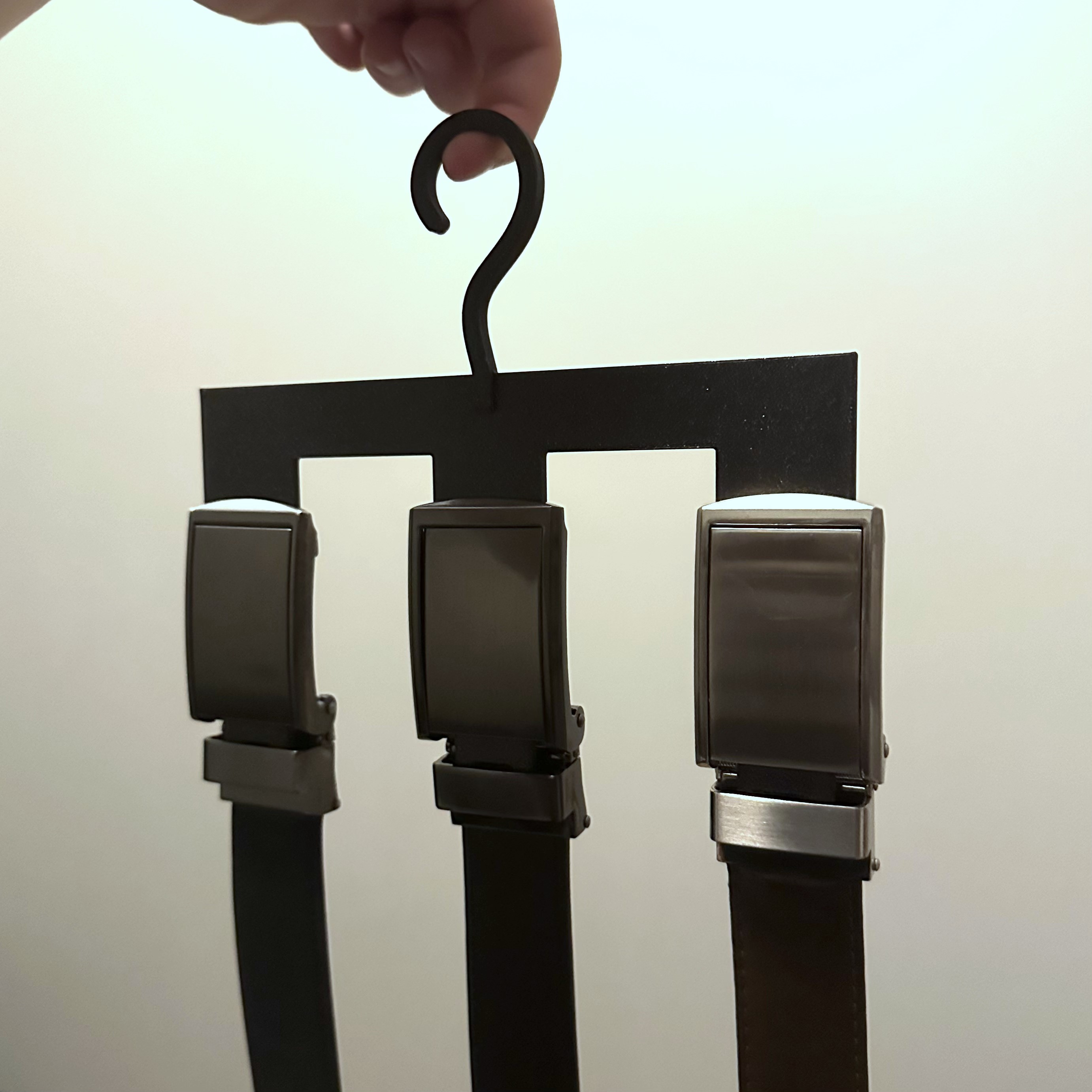 Slide Belts Hanger by ethanthompson Download free STL model