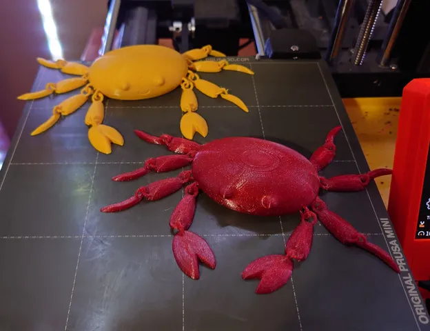 Cute Articulated Crab