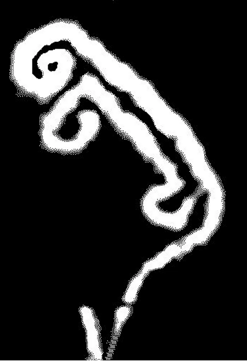 Embryo Cookie cutter