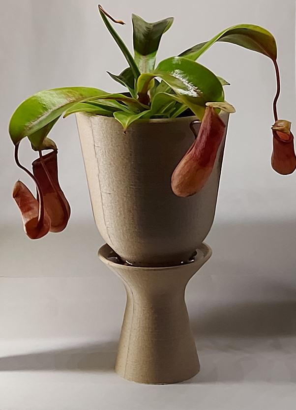 Humidity Plant Pot Chalice for Nepenthes