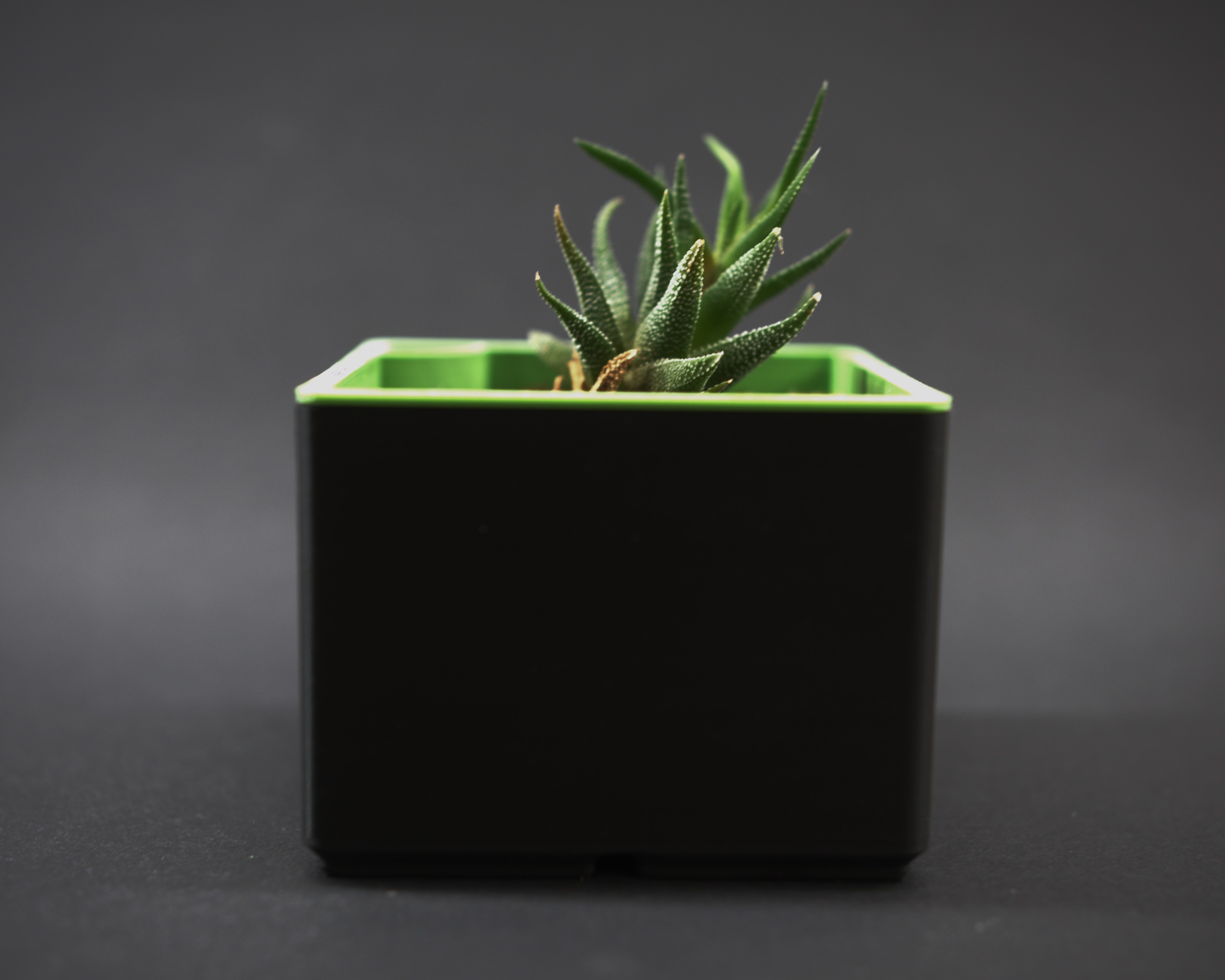 Gridfinity Planter