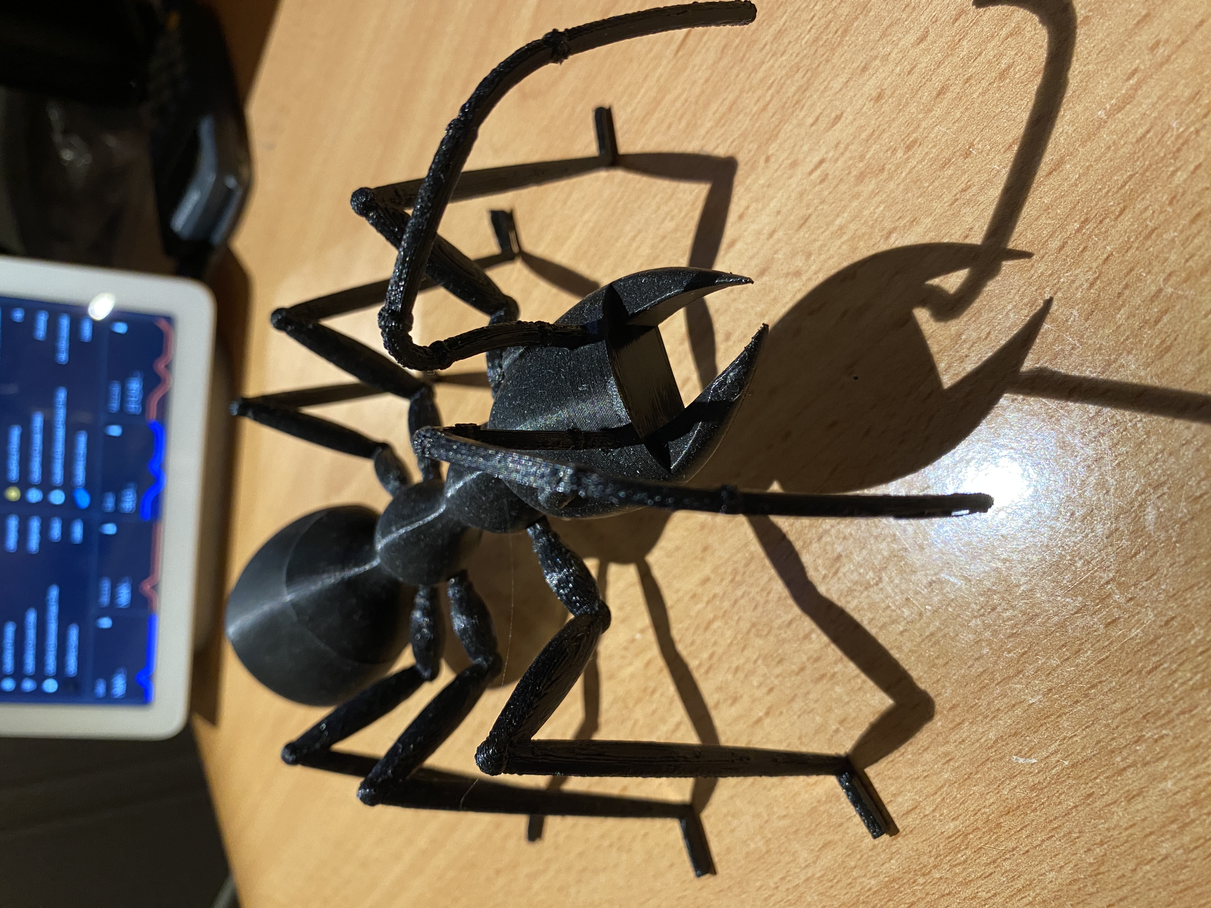 Big Ant