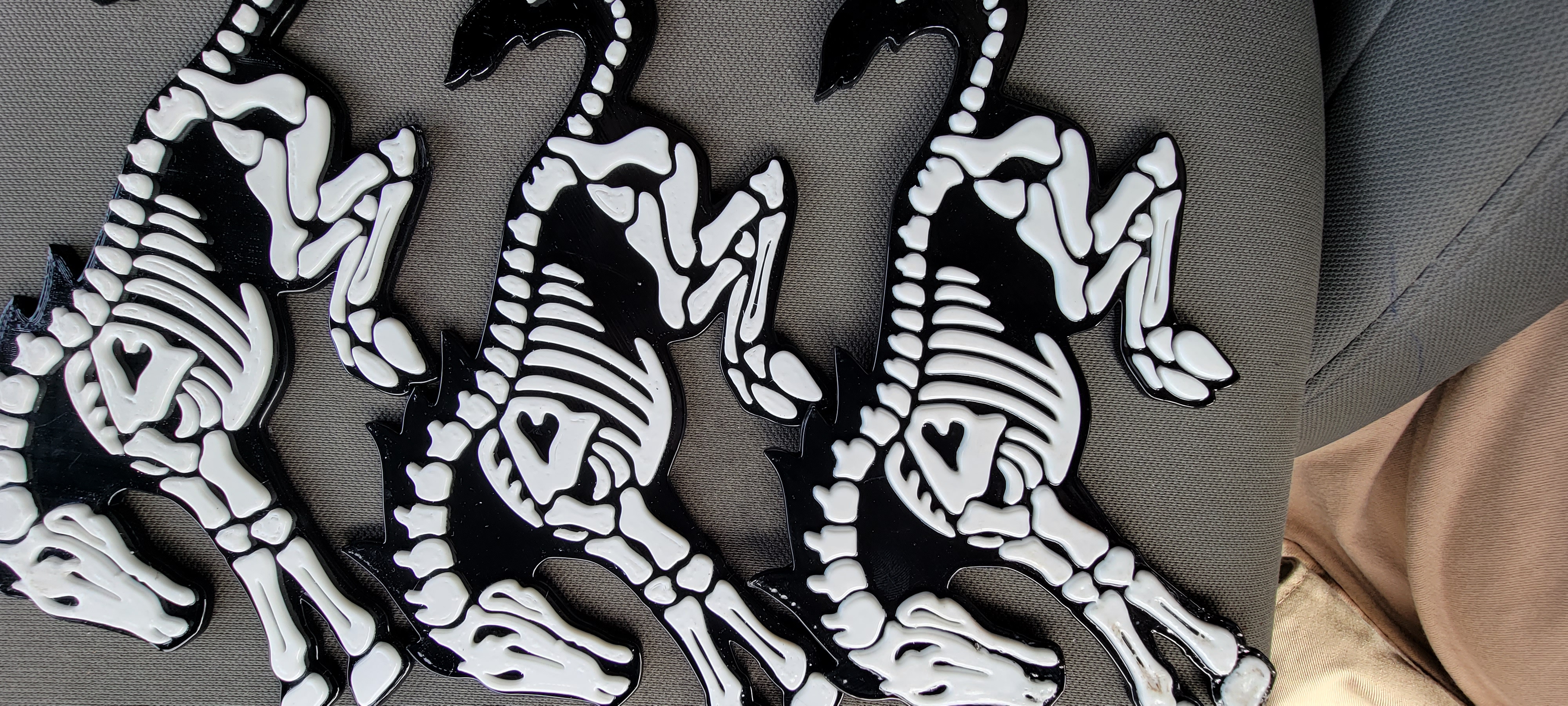 Bronco Skeleton