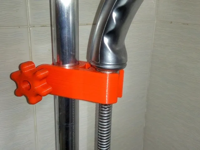 Shower holder