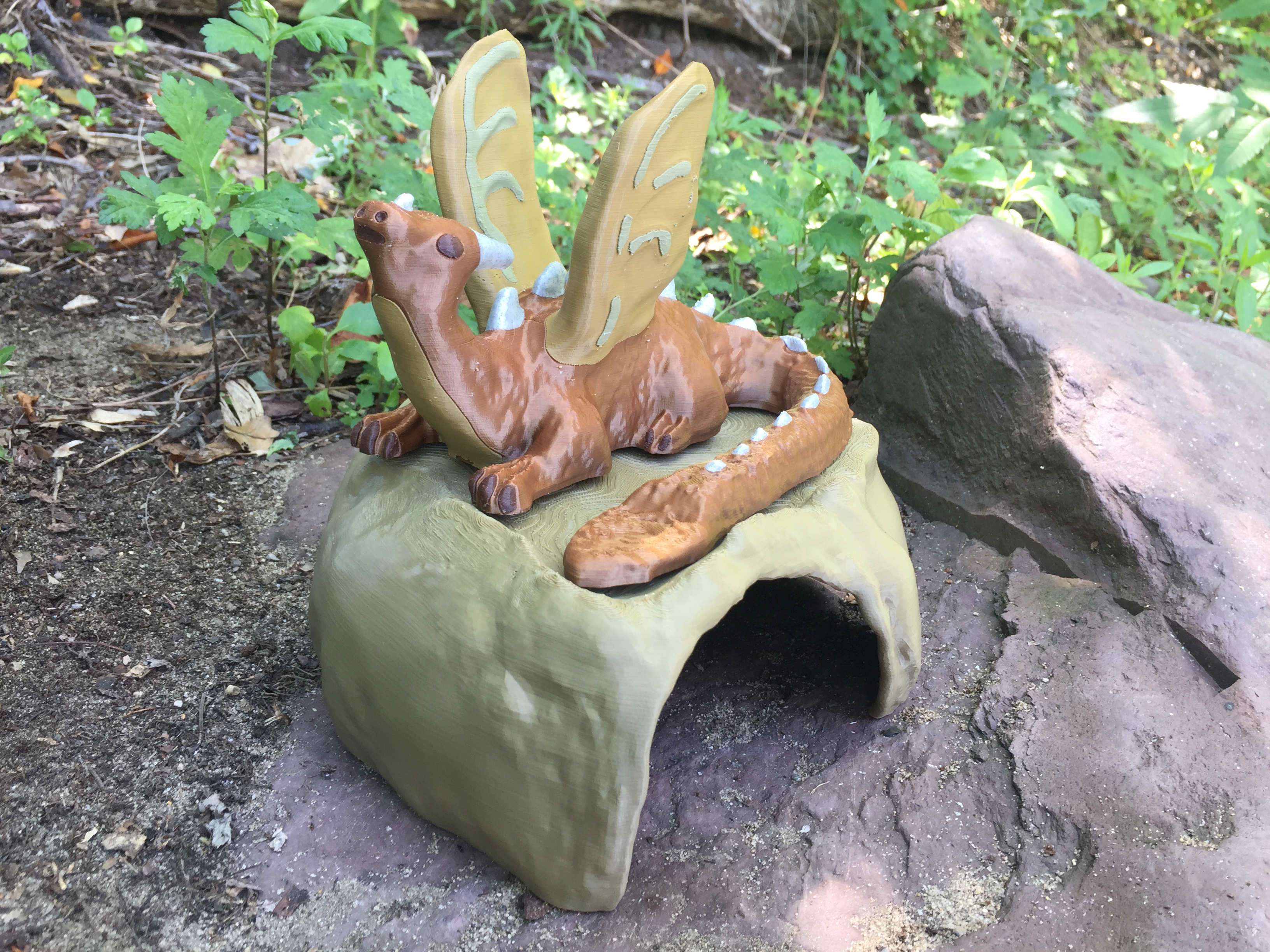 Takimorph Dragon