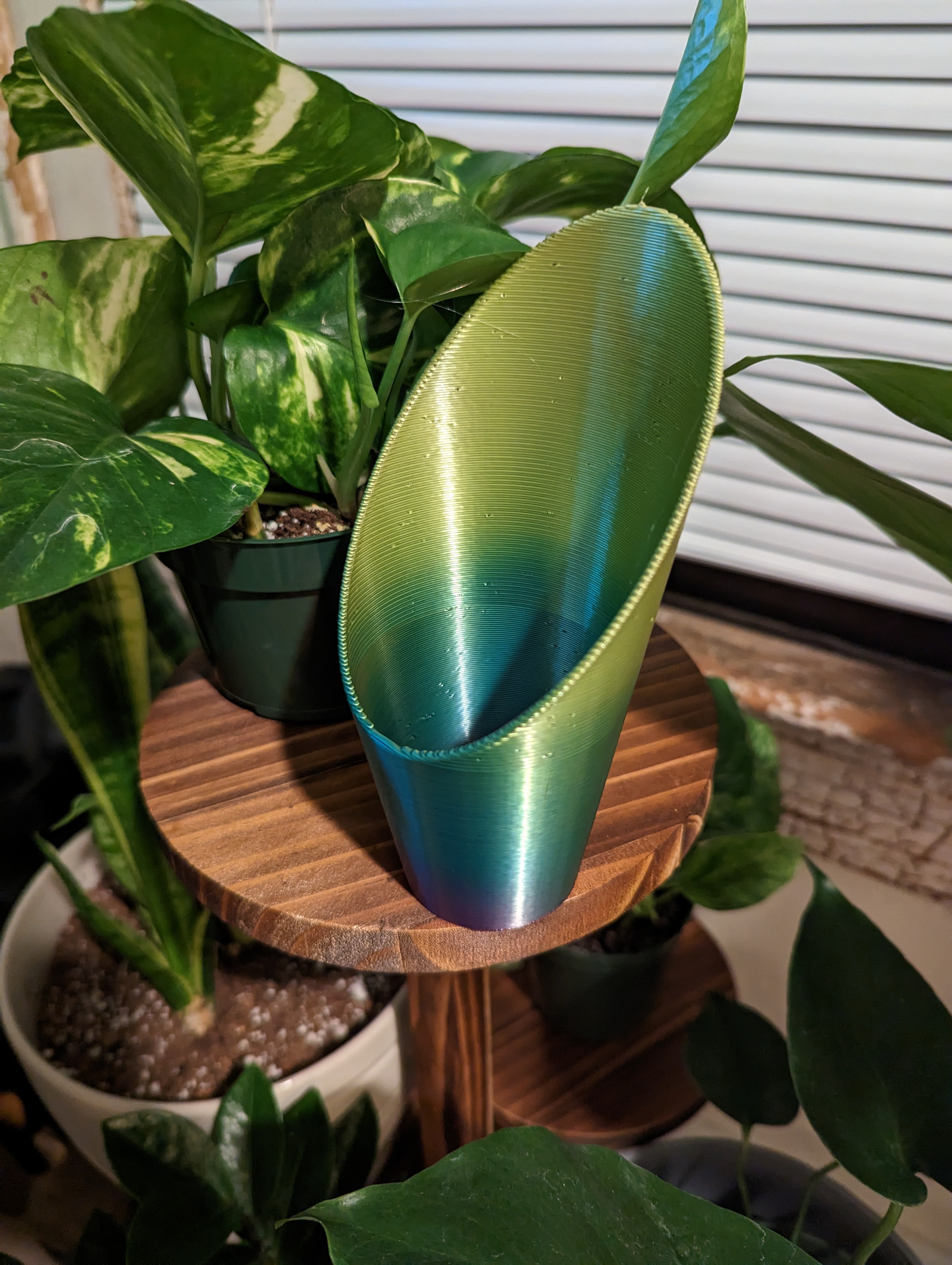 House Plant Soil Scoop
