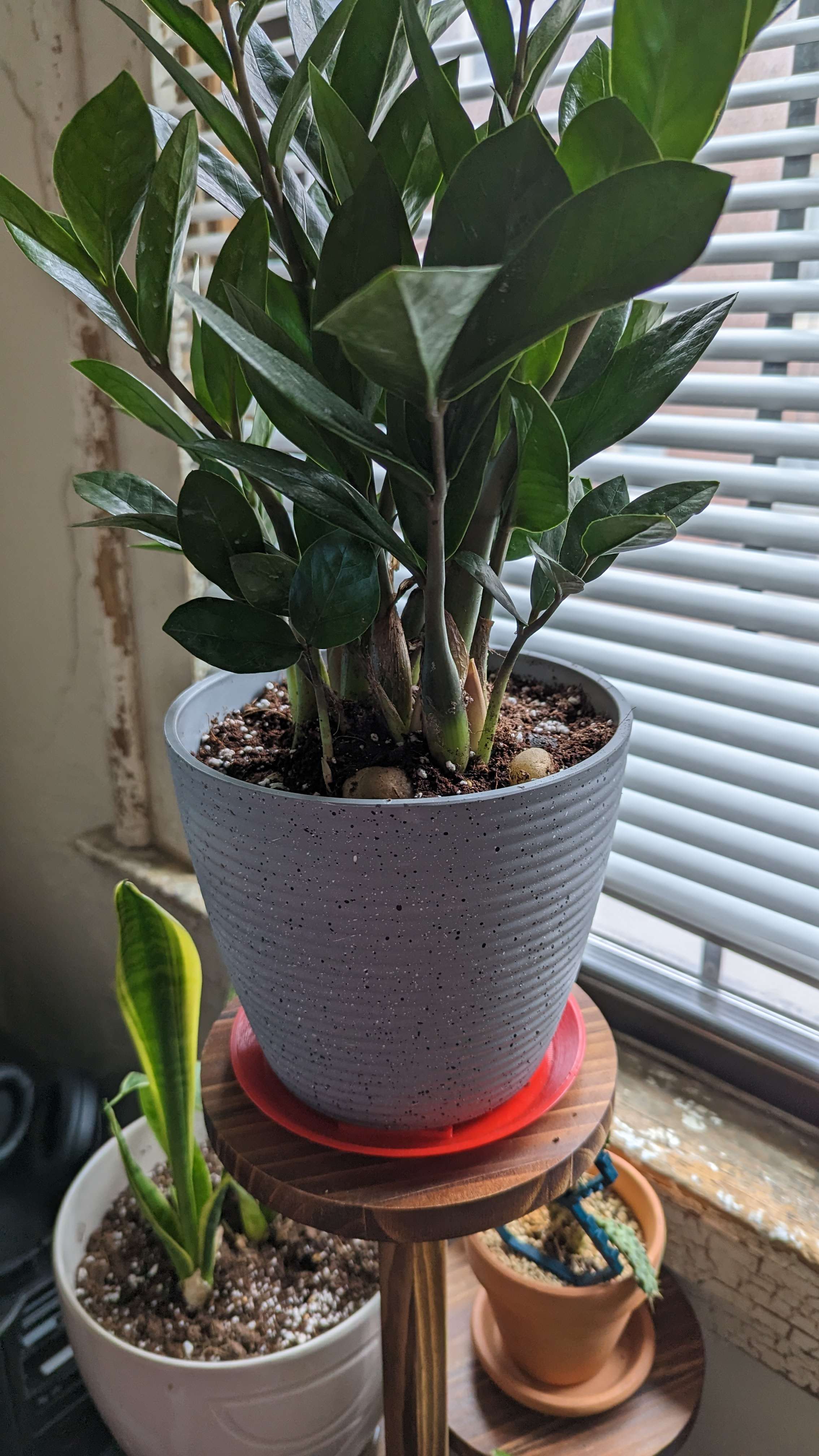 5inch House Plant Drip Tray by hhheath_ Download free STL model