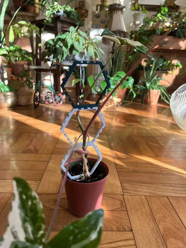 Expandable House Plant Trellis System by hhheath_ | Download free STL model  | Printables.com