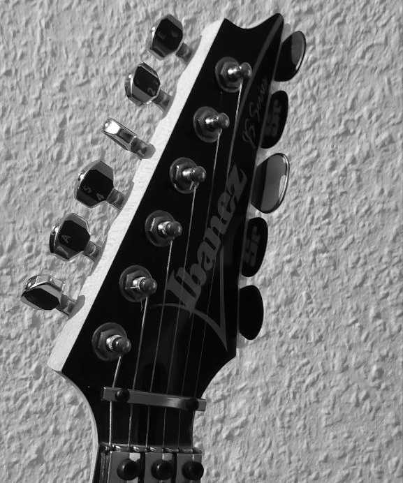 Guitar Pickholder - Vai Style - Ibanez by Hochkant | Download free STL ...