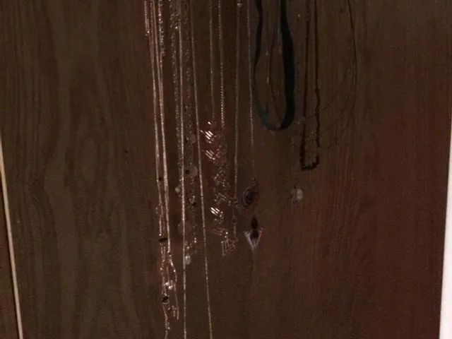 Necklace Holder