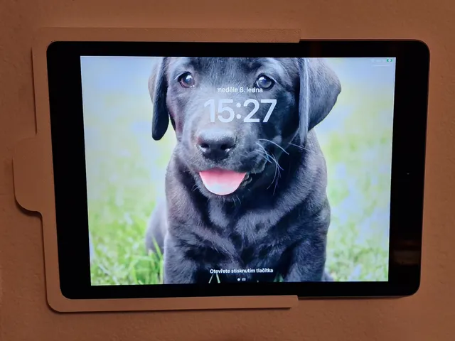 iPad wall holder