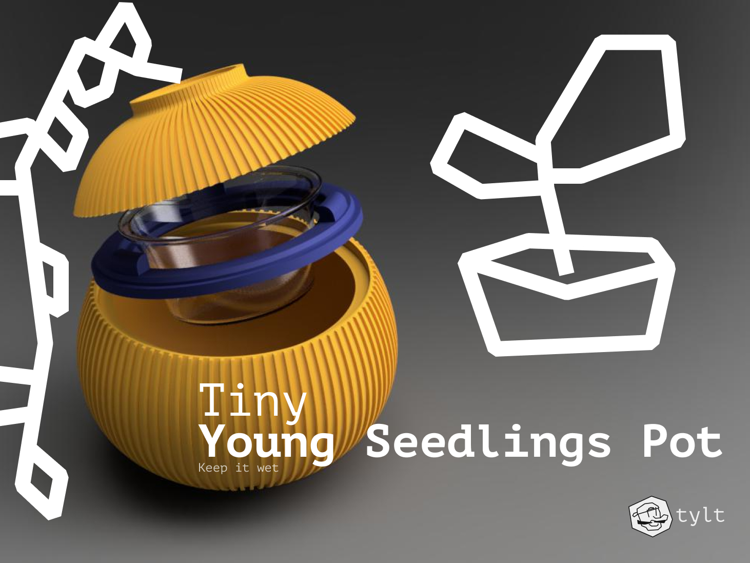 Young Seedlings Pot
