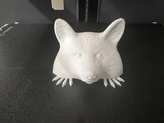 Curious Racoon by Stwebster | Download free STL model | Printables.com