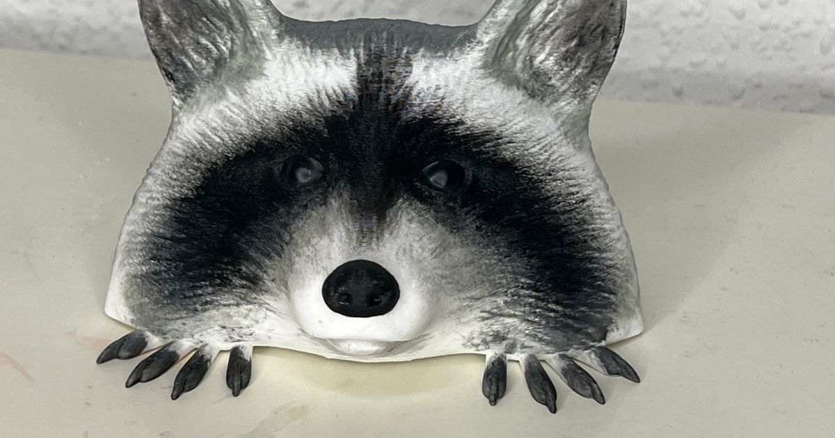 Curious Racoon by Stwebster | Download free STL model | Printables.com