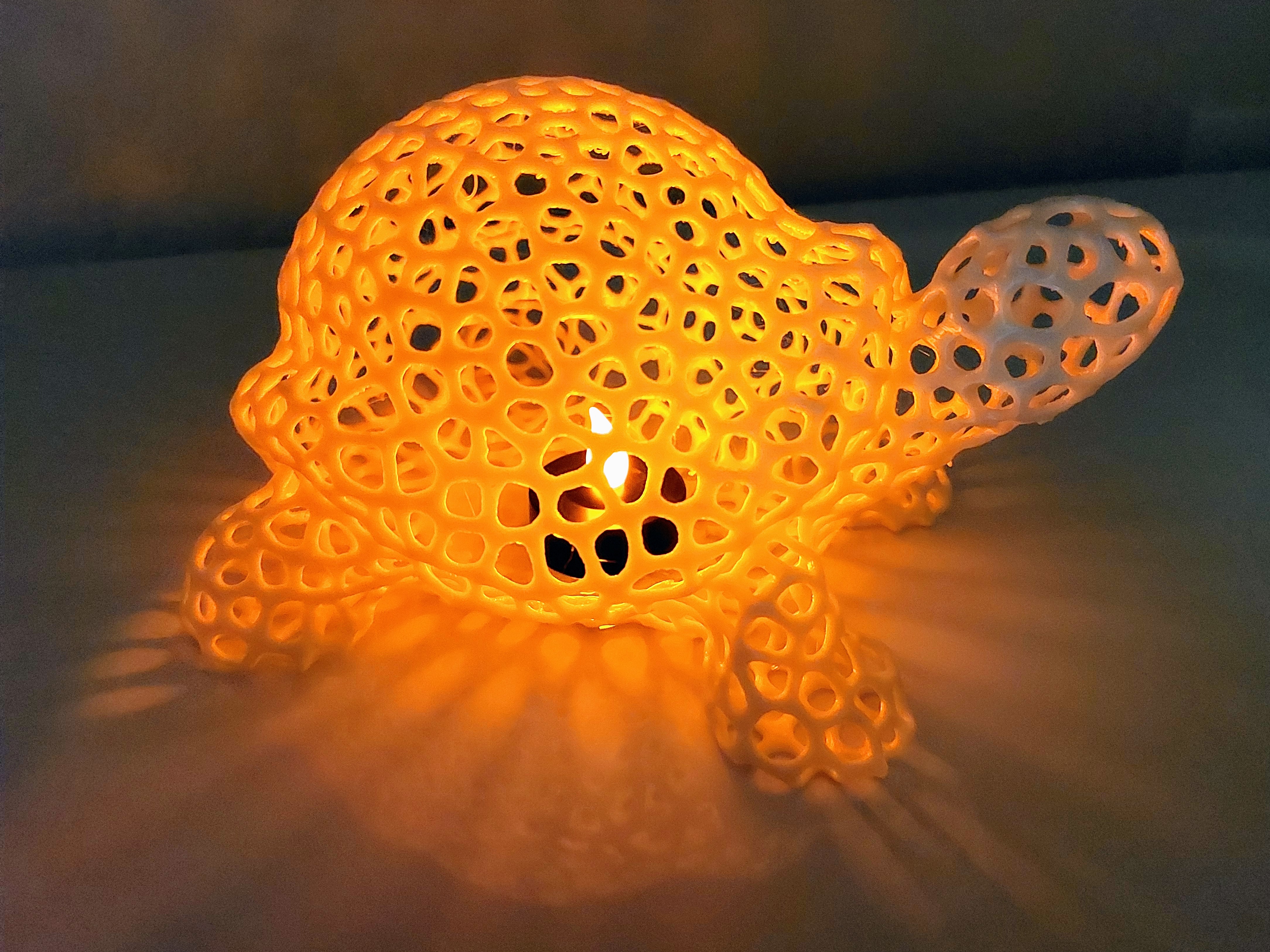 Turtle Voronoi