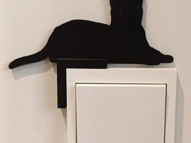 Black cat in selection of 5 poses.