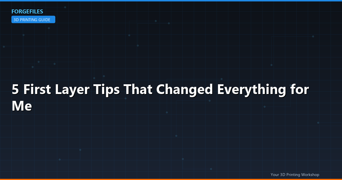 5 First Layer Tips That Changed Everything for Me