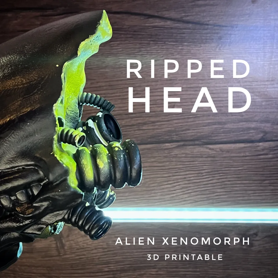 Xenomorph Trophy by Grafit | Download free STL model | Printables.com