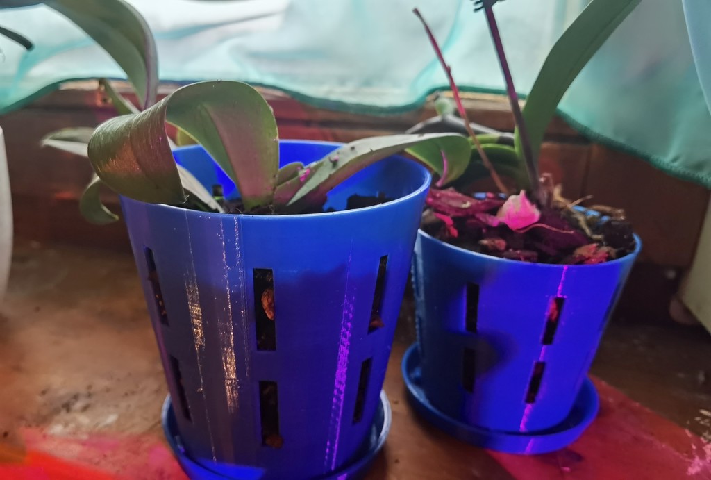 Orchid pot and tray