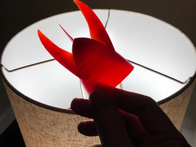Rocket Espresso Cup