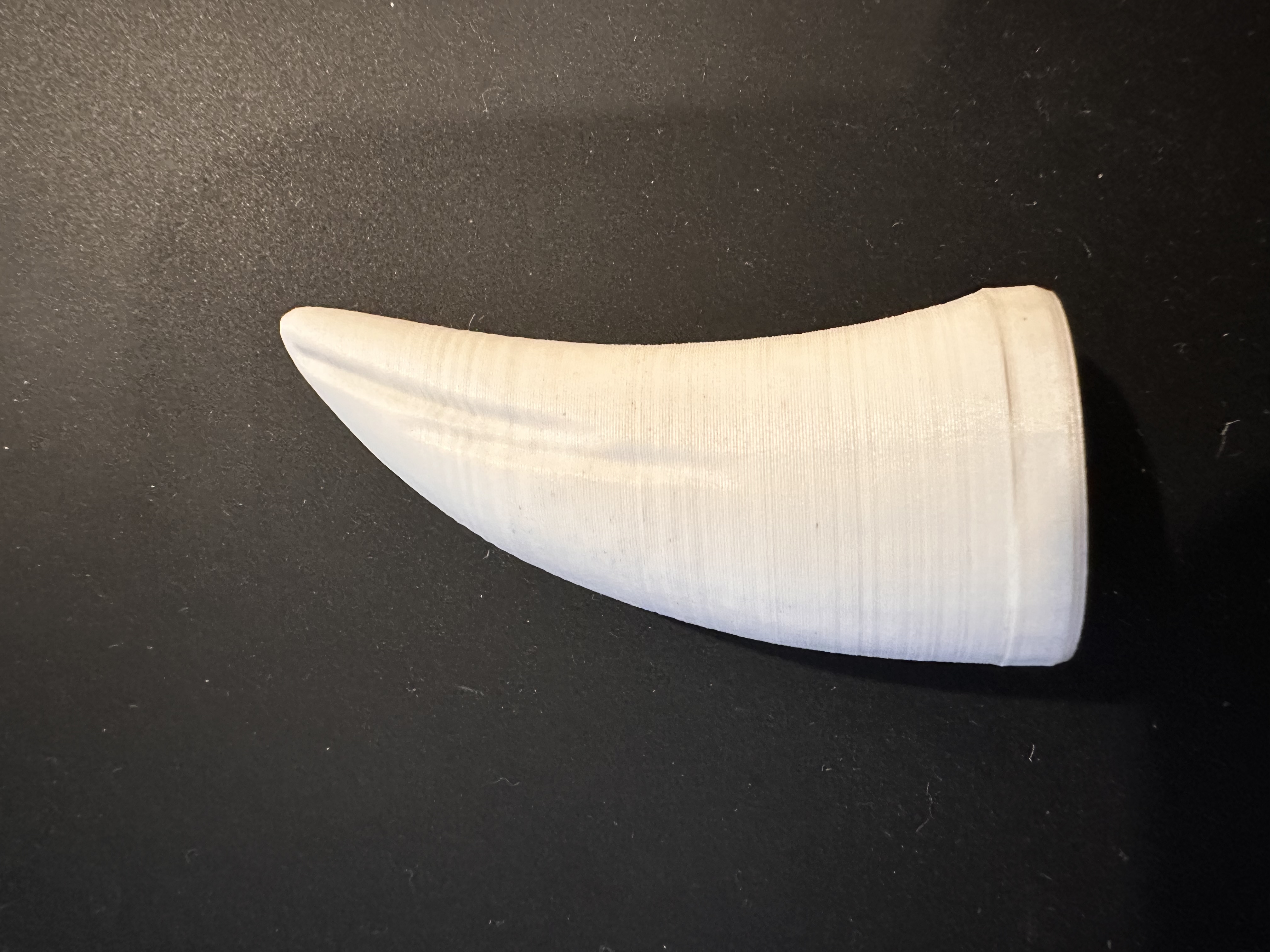Dinosaur Tooth - Tooth Fairy Box For Kids