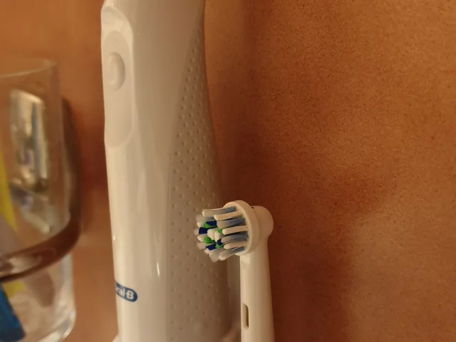 Oral B PRO - Battery holder and head holder